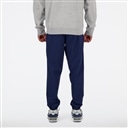 Athletics Stretch Woven Jogger Pants