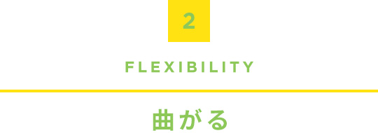 2.Flexibility, Ȃ