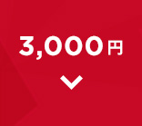 3000円