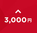 3000円